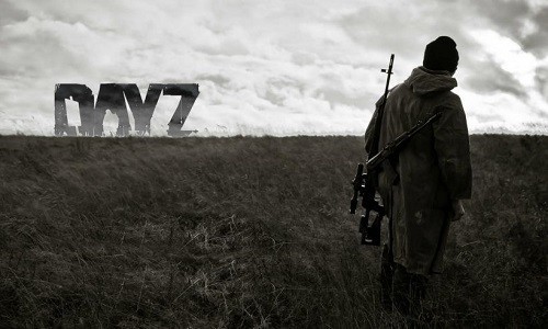 dayz