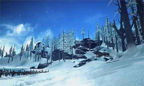 the long dark the long dark