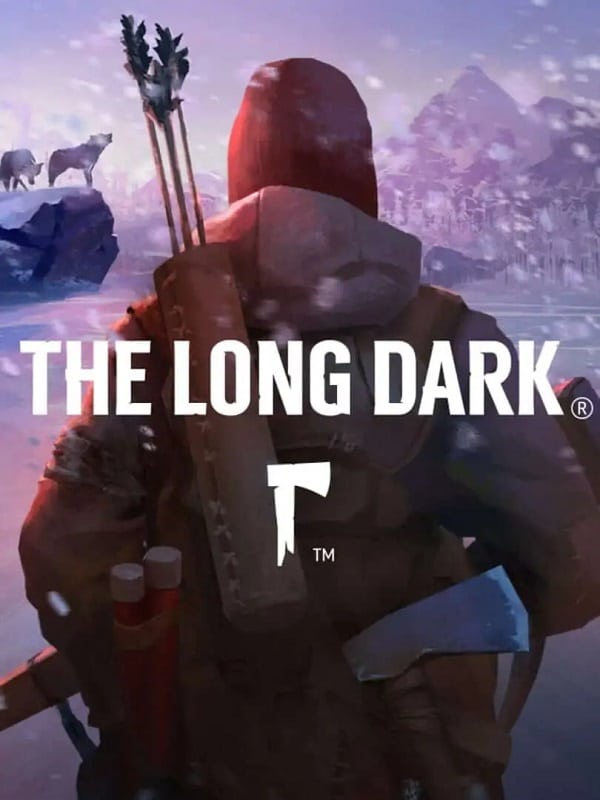 The Long Dark800 The Long Dark купить — изображение 1