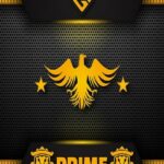 Counter-Strike 2 Prime Status купить