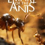 Empire of the Ants купить